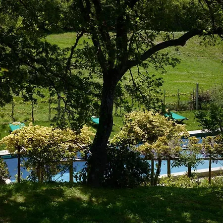 Bed and breakfast Montauto Chianciano Terme
